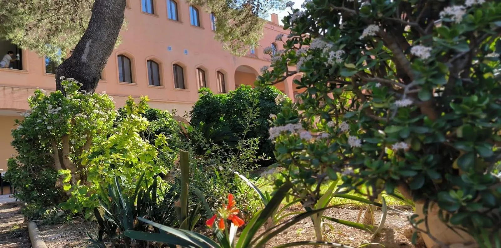 Albergue Rosa Molas Arrabal de Jesus Bed and Breakfast