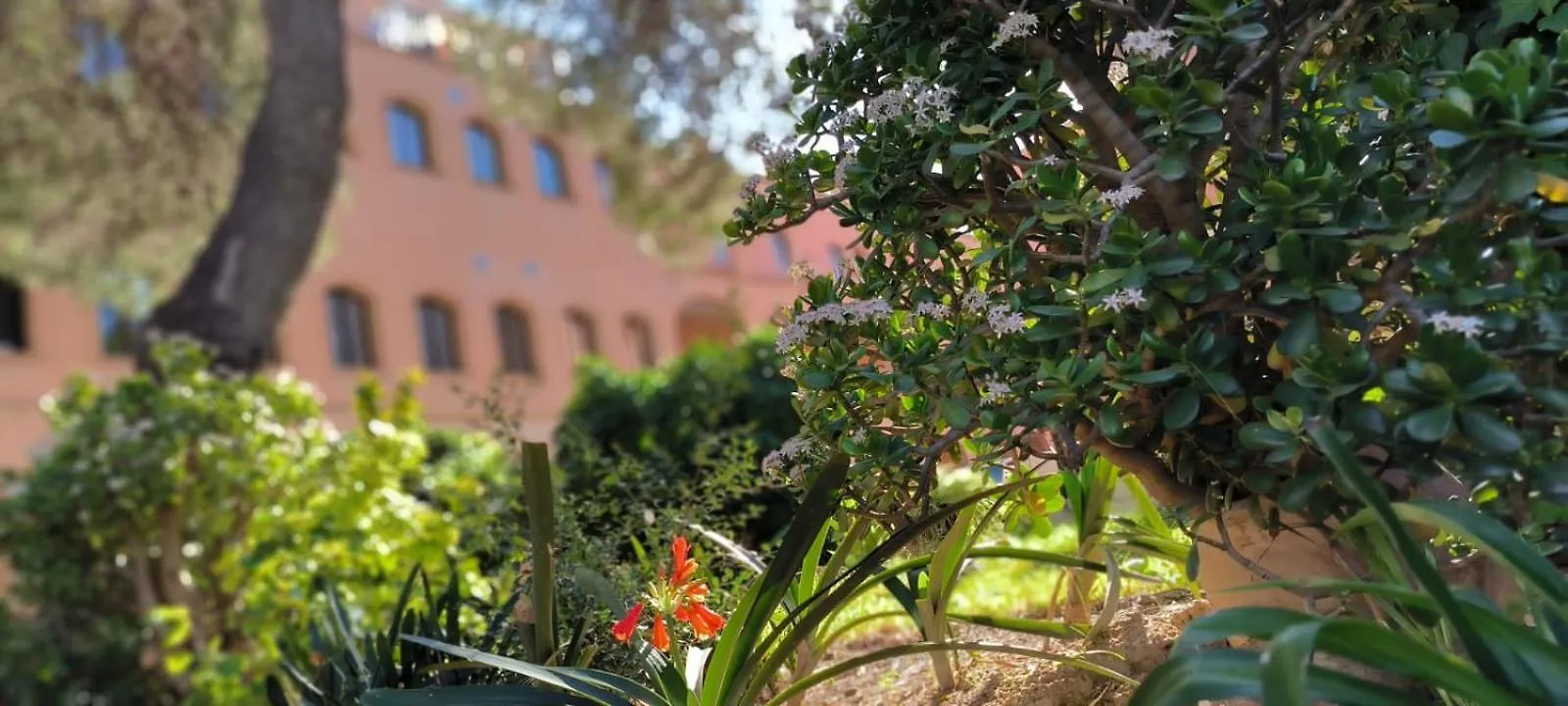 Bed and breakfast Albergue Rosa Molas Arrabal de Jesus España